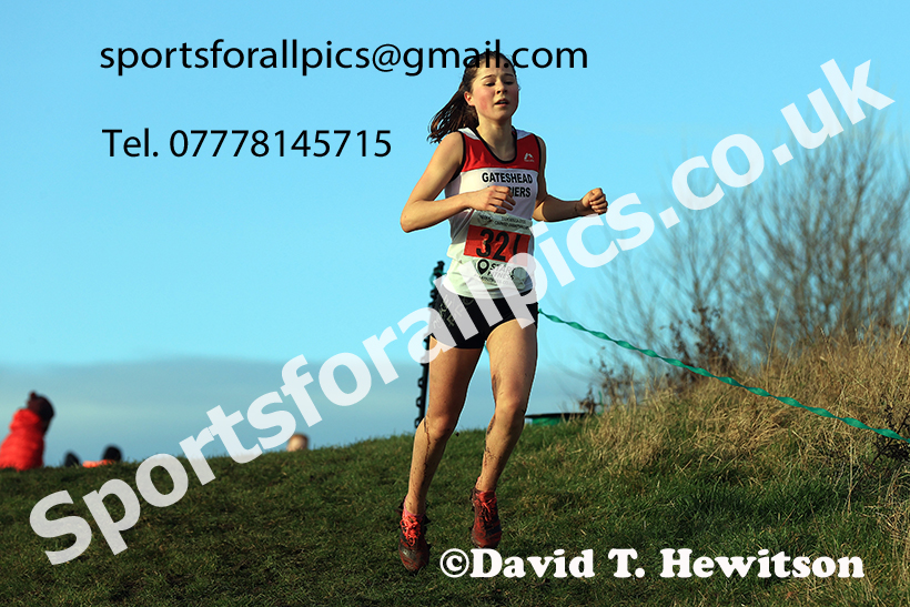 Girls under-15s 2024 NECAA Cross Country Champs., Temple Park, South Shields. Photo: David T. Hewitson/Sports for All Pics